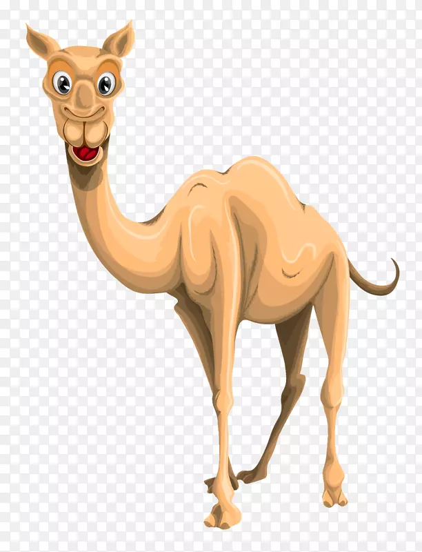 骆驼剪贴画-骆驼PNG