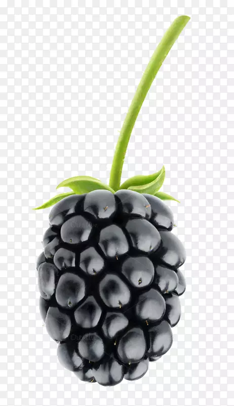 黑莓派水果沙拉-黑莓水果PNG PIC