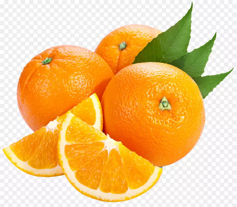 苦橙橘片艺术-无水果PNG图像