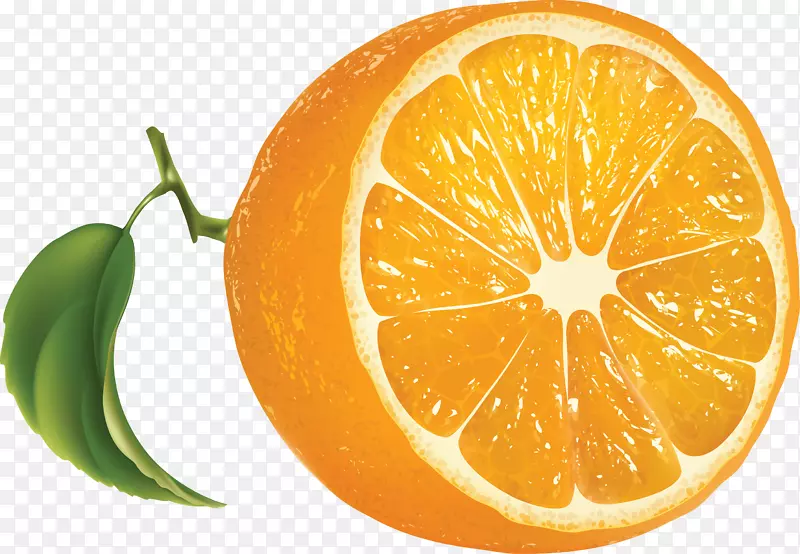 橙汁橘子柠檬橙PNG图像下载