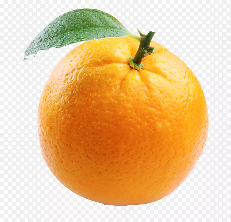橙汁含羞草-橙汁免费PNG图像