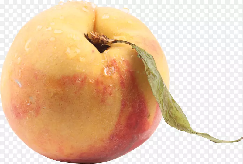 油桃食品剪贴画-桃PNG图像