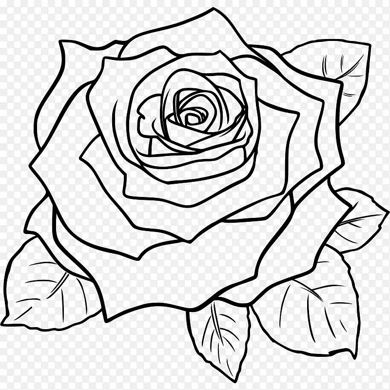 画玫瑰线艺术铅笔素描玫瑰剪贴画