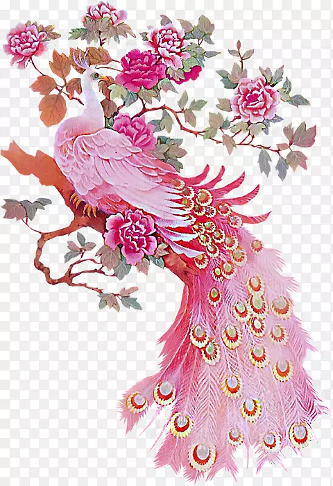 鸟孔雀羽毛粉红纸孔雀牡丹