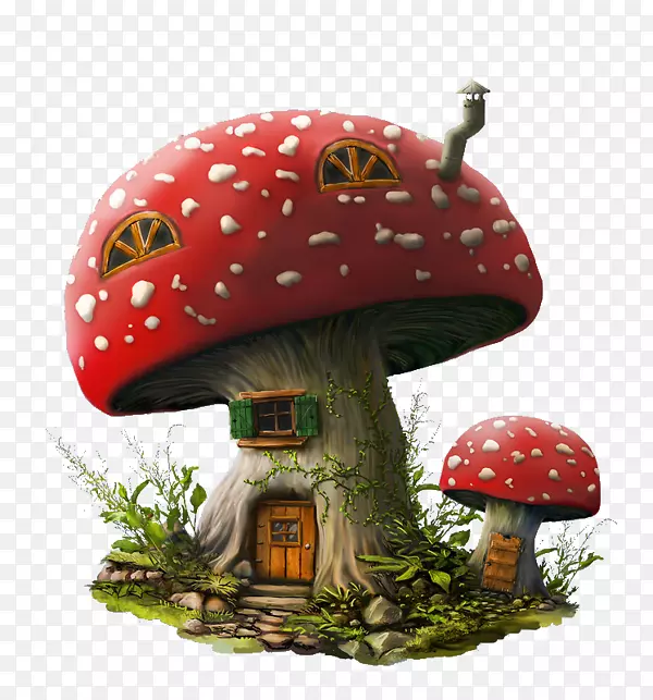 蘑菇绘图室