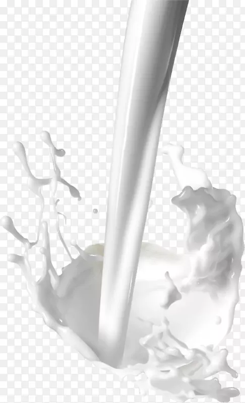 椰奶椰子水奶粉调味牛奶