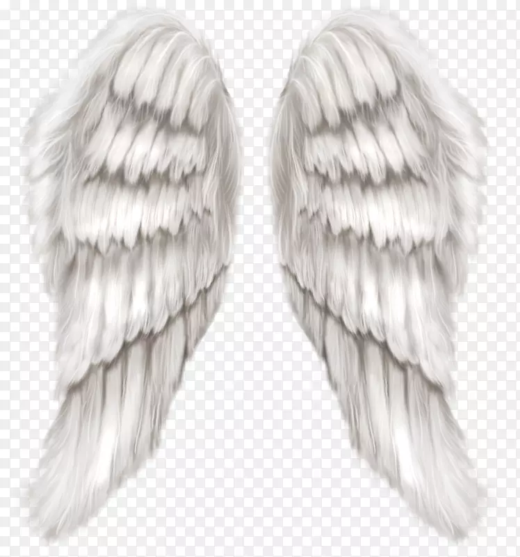 天使翼天使-白色天使翅膀透明PNG剪贴画图像