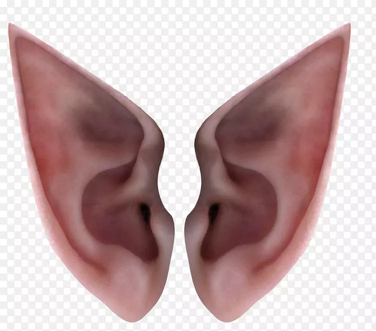 耳朵精灵图标-精灵耳朵