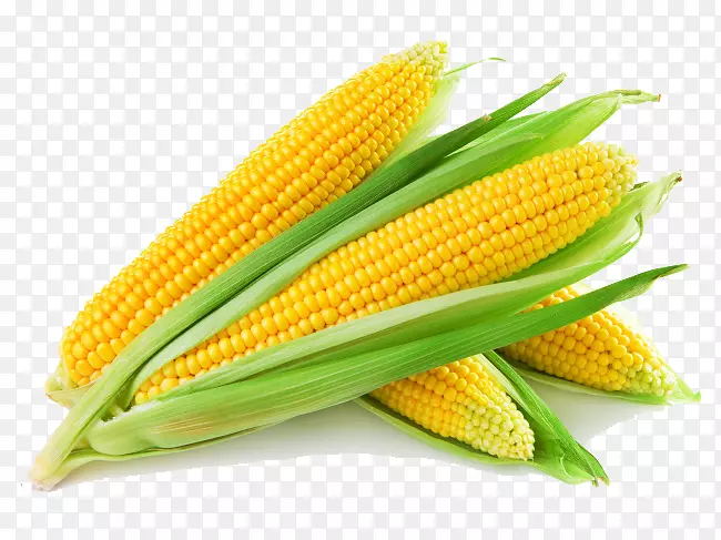 玉米片玉米淀粉玉米粉食品-黄金玉米