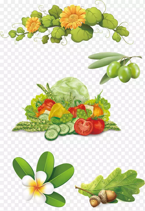 剪贴画.橄榄蔬菜