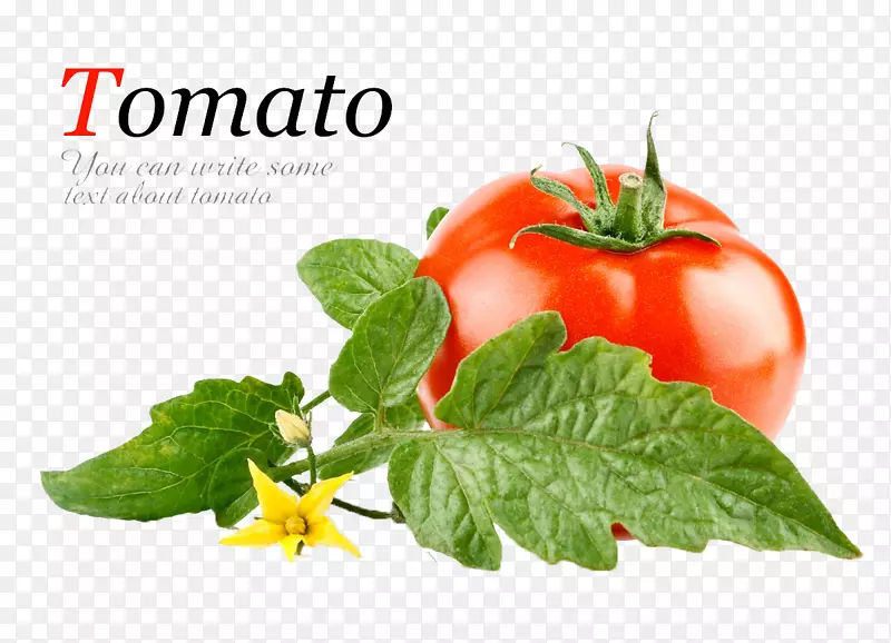 番茄酱蔬菜沙拉罐头番茄