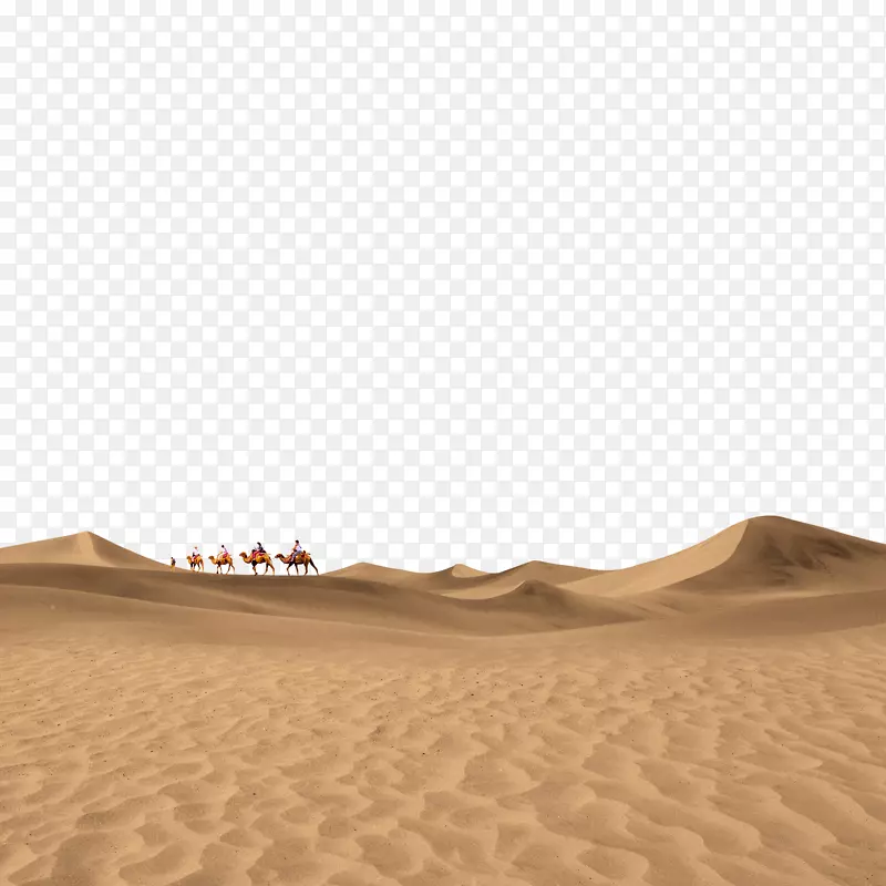 地面棕色天空-沙漠中的骆驼