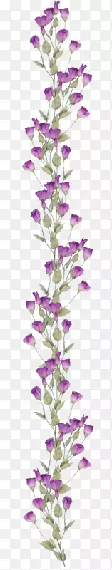 花束紫罗兰花束