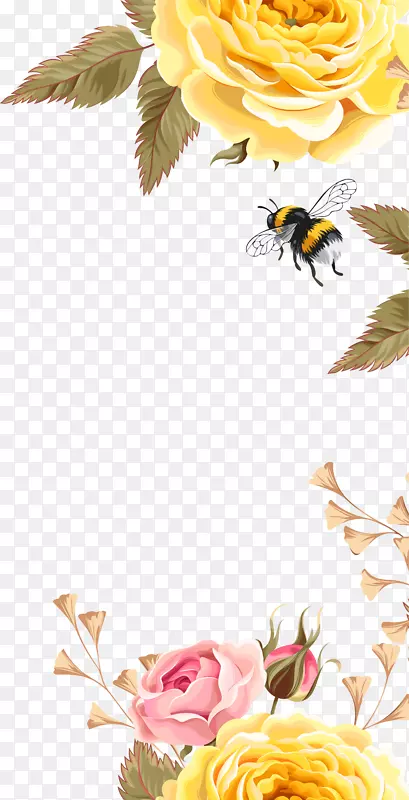 蜂鸟花纹-黄色美丽的花蜂