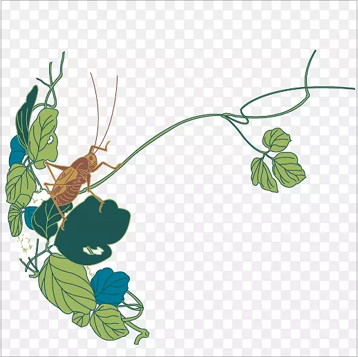 灌木丛蟋蟀昆虫插图蝗虫