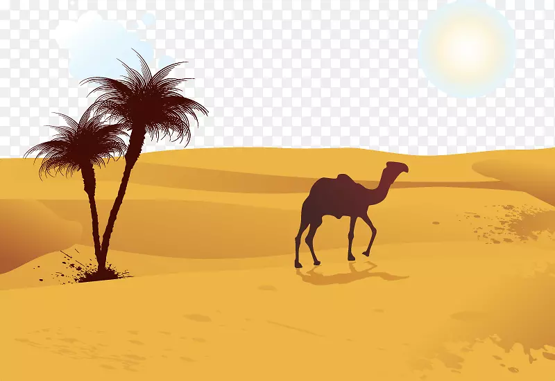 骆驼沙漠-骆驼