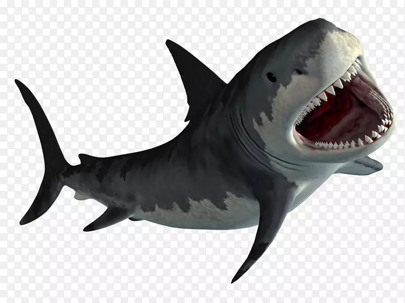 饥饿鲨鱼世界饥饿鲨鱼进化mpeg-4第14部分-鲨鱼