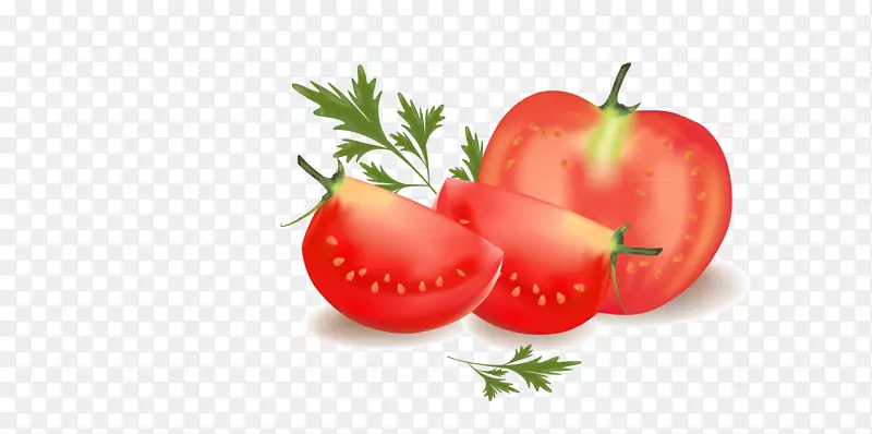 番茄蔬菜剪贴画-番茄