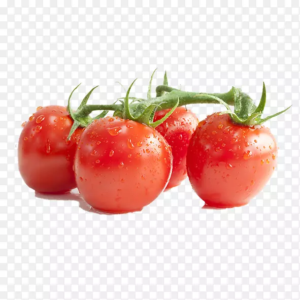 番茄红素樱桃番茄酱番茄汁番茄酱