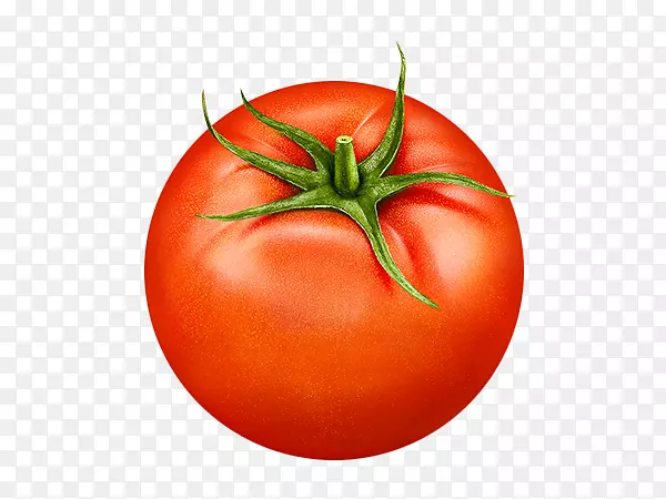李子番茄蔬菜灌木番茄