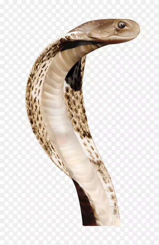 蛇王眼镜蛇-anaconda png文件