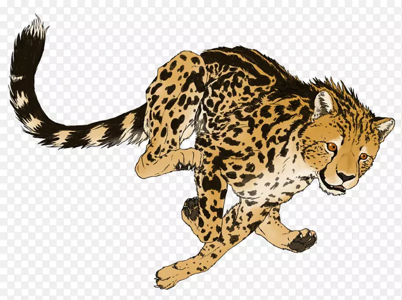 猎豹猫豹PNG透明图片