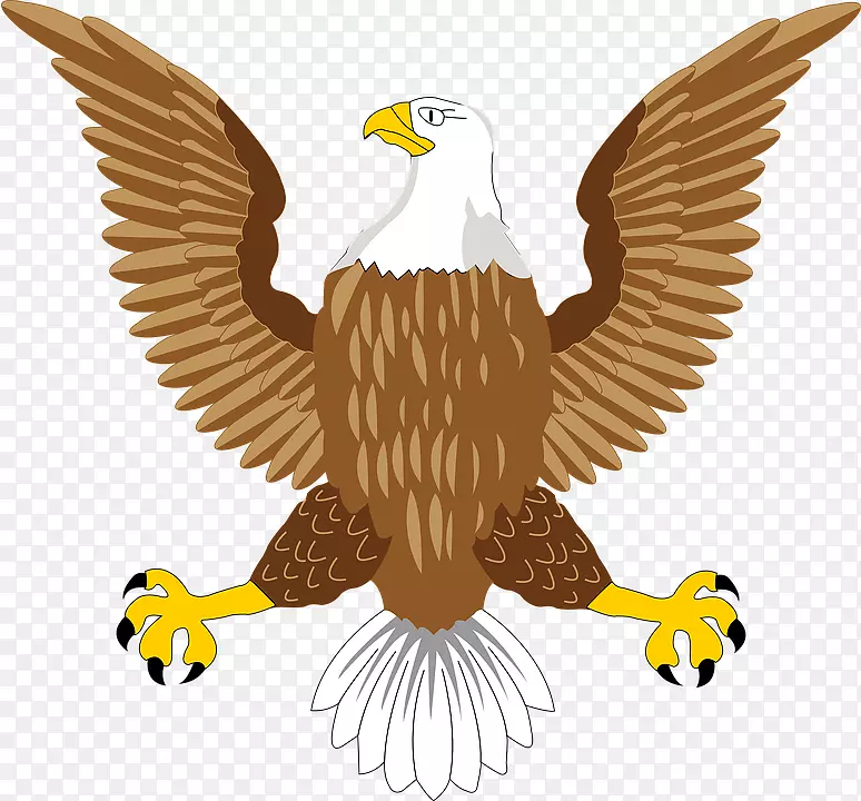 秃鹰鸟符号-鹰符号PNG图像