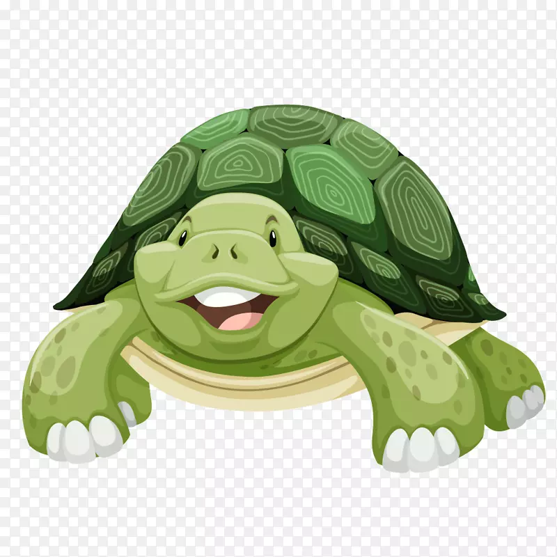 海龟剪贴画-绿海龟卡通龟