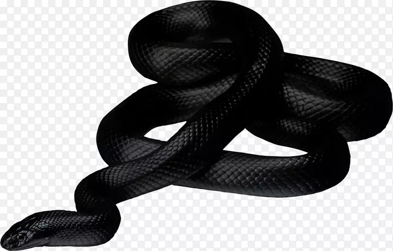 蛇爬行动物剪贴画-anaconda png照片