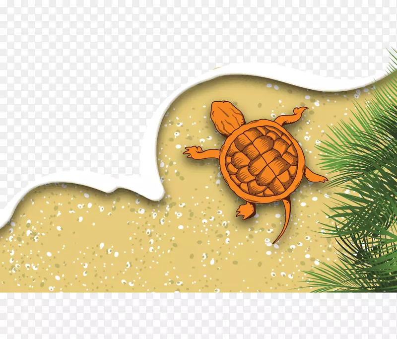 Adobe插画家下载-手绘插图黄海龟滩