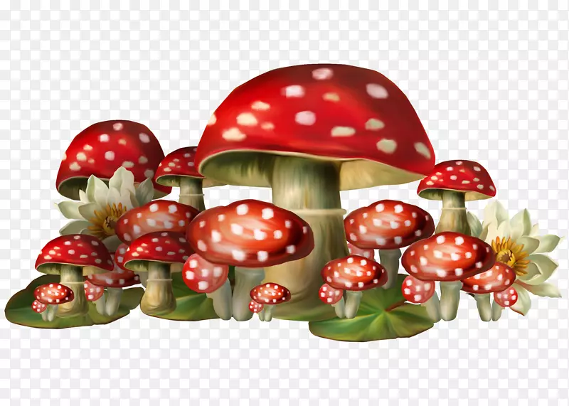 蘑菇美氏菌剪贴画-红蘑菇