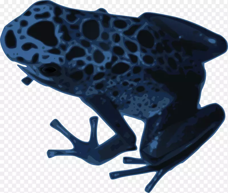 青蛙两栖动物剪贴画-阿祖鲁蛙PNG