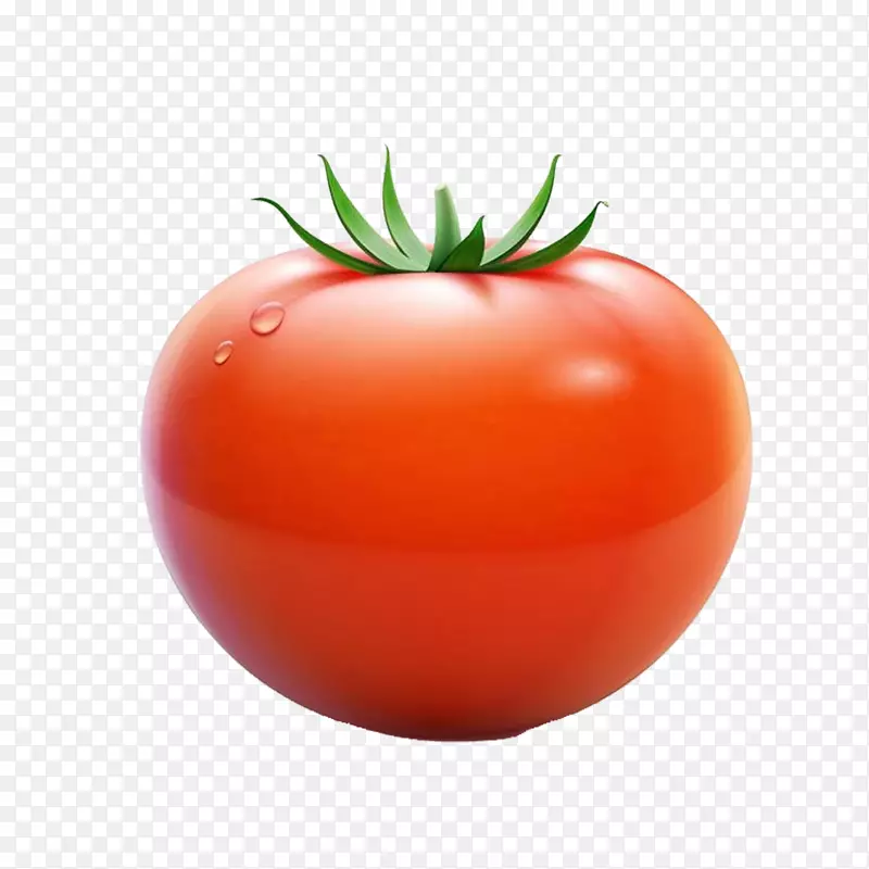 李子番茄樱桃番茄欧式载体-番茄