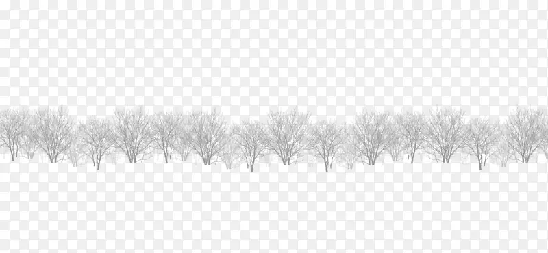 黑白花纹-一排白色树枝