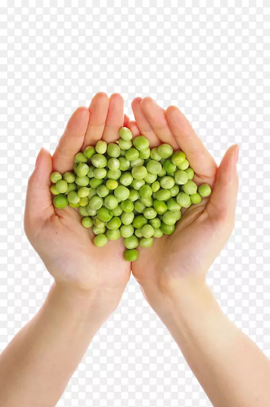 豌豆食品营养豆