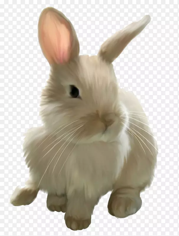 复活节兔子剪贴画-复活节兔子图片