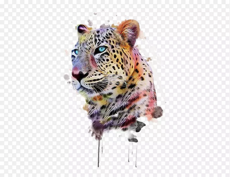 豹纹t恤动物印花插图手绘猎豹