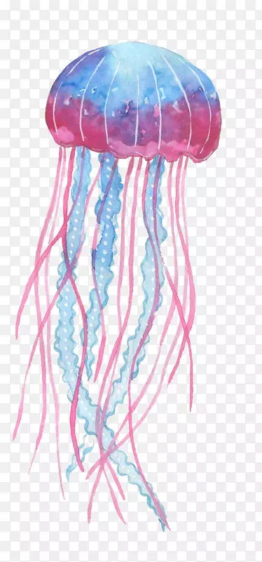 海蜇-蓝色粉红水母