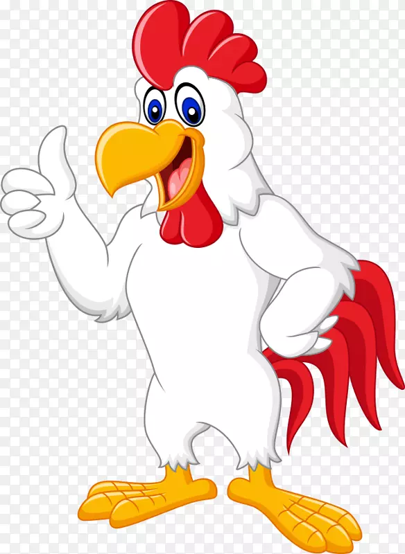 鸡公鸡卡通插图-白公鸡