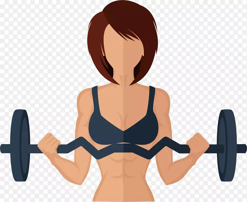 体育锻炼、健身、体重训练、减肥杠铃-杠铃妇女