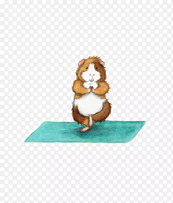 豚鼠瑜伽adho mukhaśvānāsana asana-豚鼠瑜伽