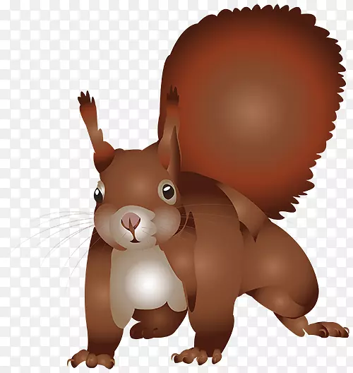 松鼠卡通插图-棕色松鼠