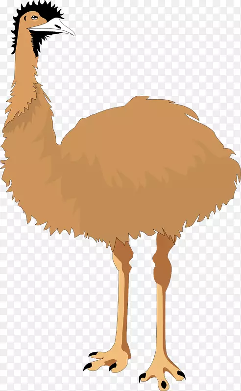 普通鸵鸟EMU鸟动画剪辑艺术-棕色鸵鸟