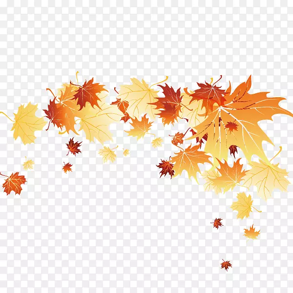 秋叶-秋天，树叶，装饰