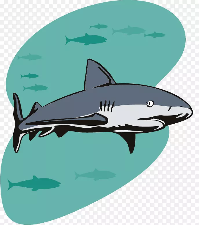 鲨鱼派对生日插图-卡通鲨鱼