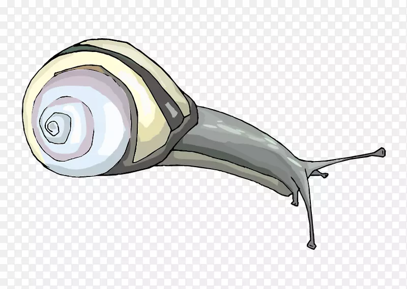 蜗牛去壳腹足夹艺术.卡通蜗牛