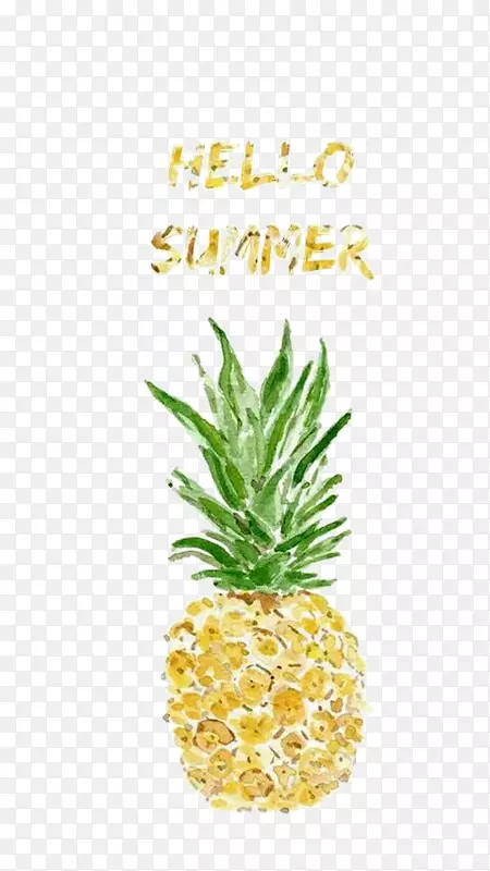 菠萝水彩画版画插图-你好夏天