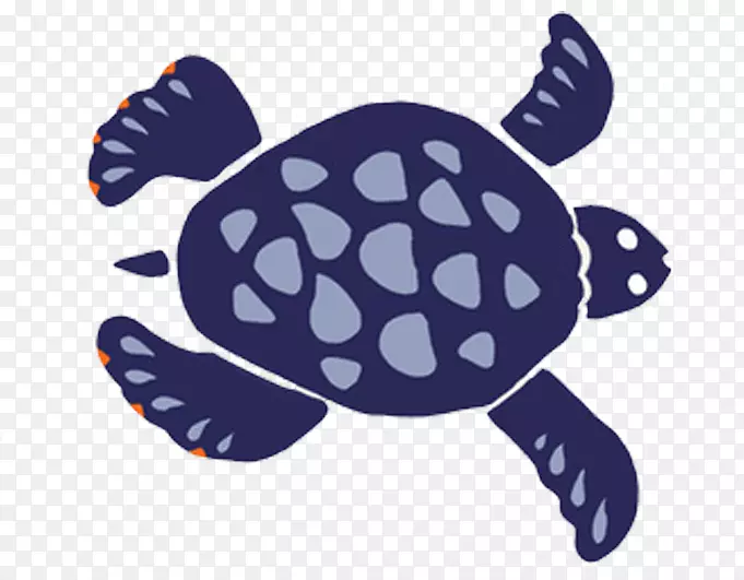 海龟插图-紫海龟