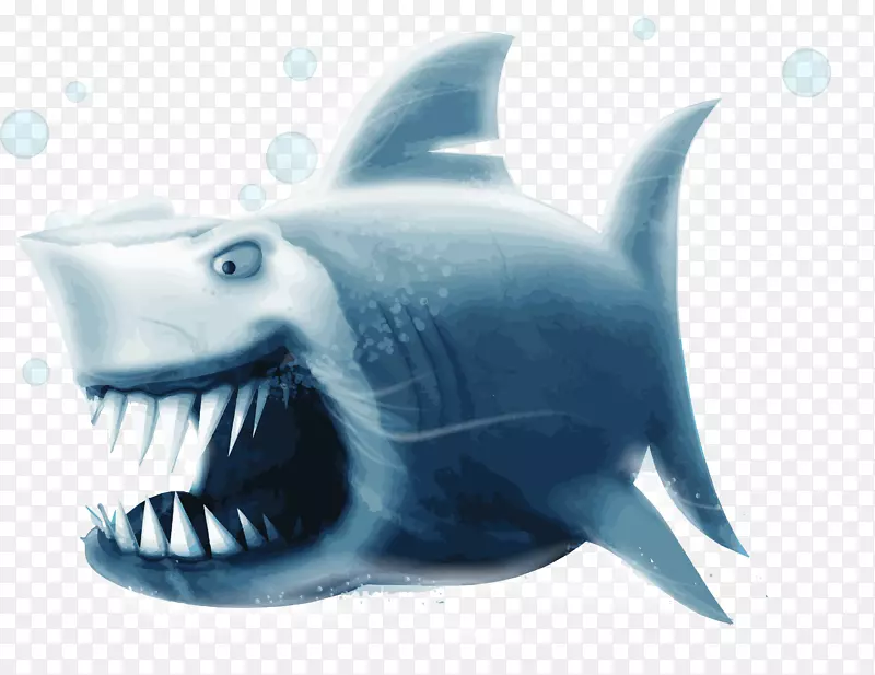 鲨鱼软骨鱼蓝鲨