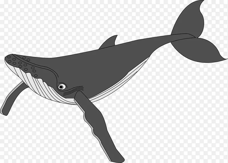 座头鲸剪贴画-可爱的鲸鱼